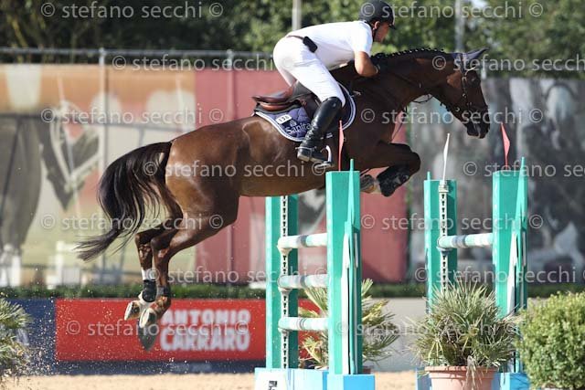 D ONOFRIO_ANNIKKI_ECC_2011_SS3_8329.jpg